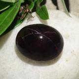 17.5mm x 14mm Star Garnet 31ct Oval Cabochon in Black Red