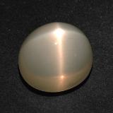 Star Moonstone from The Source