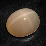 17.5mm x 14.5 Star Moonstone 18ct Oval Cabochon in Cream Peach