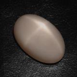 16 ct Transparent/Translucent Oval Cabochon Star Moonstone 19.5x12mm