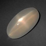 16mmx8.5mm Star Moonstone 6ct Oval Cabochon in Cream Peach