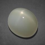 14.5x11.5 Oval Cabochon Star Moonstone 16ct