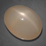 20 ct Transparent/Translucent Oval Cabochon Star Moonstone 18.5x14mm