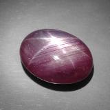 Star Ruby from The Source