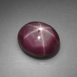 Star Ruby from The Source