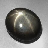 27 carat Black Oval Cabochon Star Sapphire 19.5mm x 16.5
