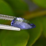 Tanzanite from The Source
