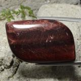 Tiger's Eye Matrix from The Source