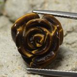 15mm x 13.5 Tiger's Eye 11ct Carved Rose with Half Drilled Hole in Gold Brown