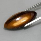 Tiger's Eye from The Source