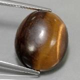 18x15.5mm Oval Cabochon Tiger's Eye 14ct