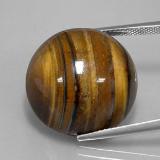 39 carat Gold Brown Round Cabochon Tiger's Eye 20mm