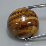 20.5mm Round Cabochon Tiger's Eye 39ct