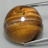 37 carat Gold Brown Round Cabochon Tiger's Eye 20mm