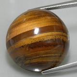 36 carat Gold Brown Round Cabochon Tiger's Eye 20 mm