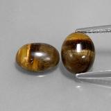 9mm x 7 Tiger's Eye 3ct Oval Cabochon in Gold Brown