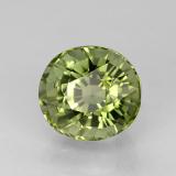 Tourmaline from The Source