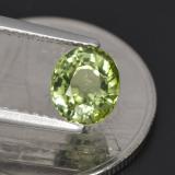 Tourmaline from The Source