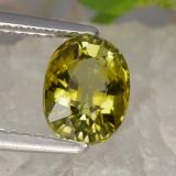 Tourmaline from The Source