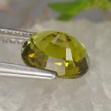Tourmaline from The Source