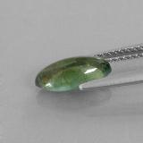 Tourmaline from The Source