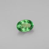 Tsavorite Garnet from The Source