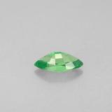Tsavorite Garnet from The Source