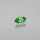 Tsavorite Garnet from The Source