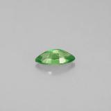 Tsavorite Garnet from The Source