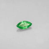Tsavorite Garnet from The Source