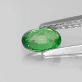 Tsavorite Garnet from The Source