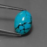 Turquoise from The Source