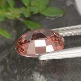 Zircon from The Source