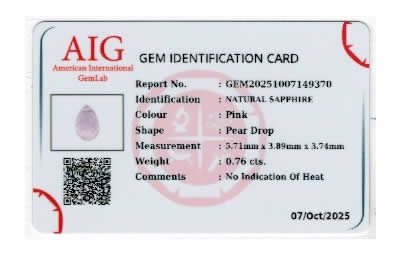 Gem Report
