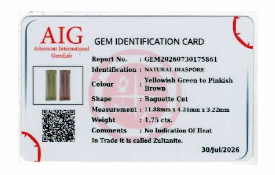 Gem Report