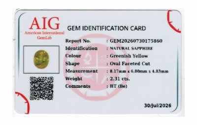 Gem Report