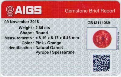 Gem Report