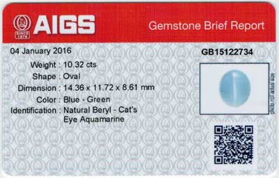 Gem Report