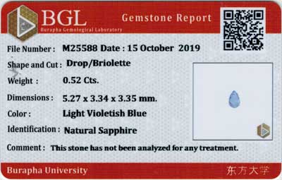 Gem Report
