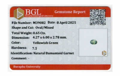Gem Report