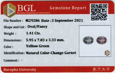 Gem Report
