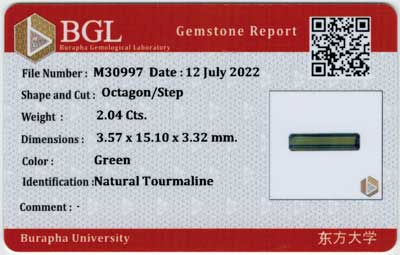 Gem Report