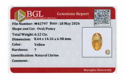 Gem Report