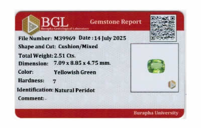 Gem Report
