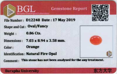 Gem Report