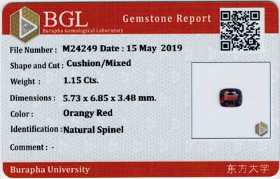 Gem Report