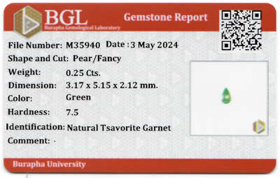 Gem Report