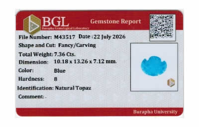 Gem Report