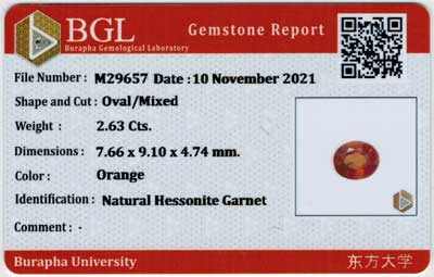 Gem Report