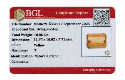 Gem Report
